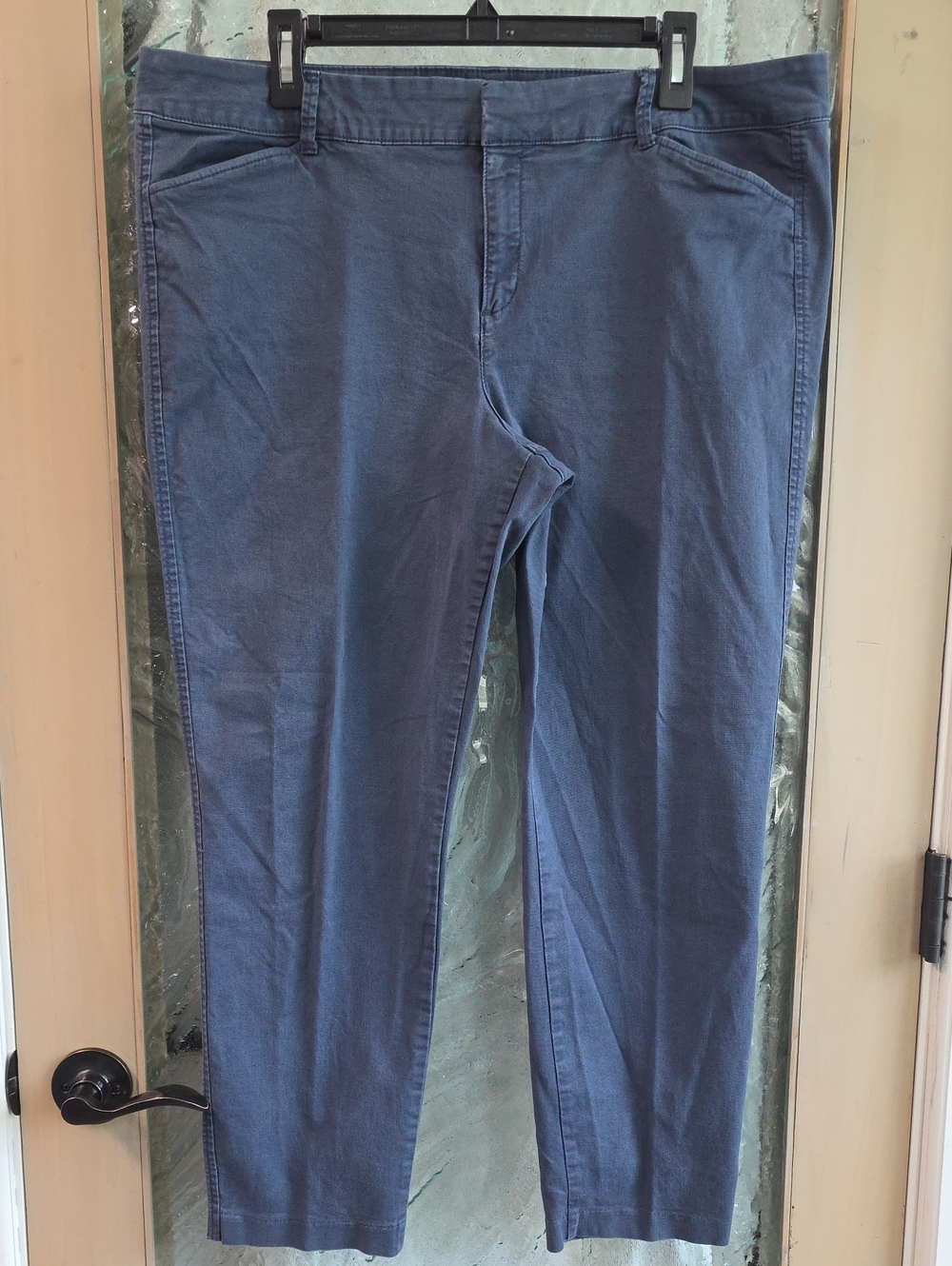 Old Navy Pixie Ankle Navy Blue Pants -Sz 16